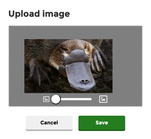 image5.png